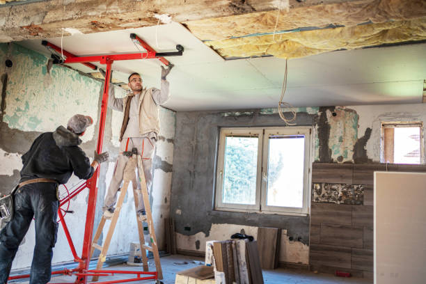 Insulation Repair Services in Stonegate, CO